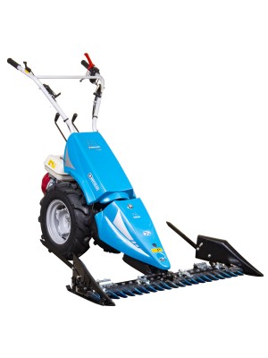 BT 140 GX200 EUR5 ÇAYIR BİÇME MAKİNESİ 115cm 